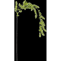 Bloomingville rörblad, grön, konstgjorda blommor