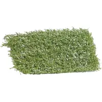 Busch 3595 Buske blommande 35 mm Vit