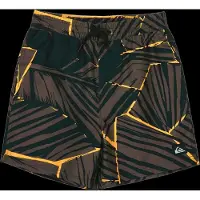 Quiksilver Everyday Printed Volley 14´´ Simshorts