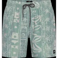 Rip Curl Sessions Volley Boardshorts aloe Storlek XL