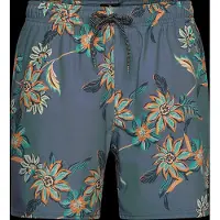 Rip Curl Sessions Simshorts