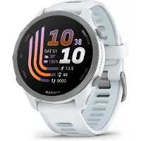 Garmin Forerunner 170 Music Whitestone/cloud Blue