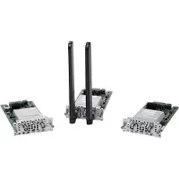 Cisco Fourth-Generation Network Interface Module - Trådlöst mobilmodem - 4G LTE - 100 Mbps