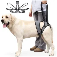 INF Utomhus Hund Bakben Stödsele - Mobilitetshjälp för Skadade & Äldre Hundar XL