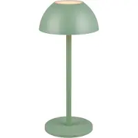 Reality Leuchten Ricardo LED-uppladdningsbar bordslampa, grön, höjd 30 cm, plast Ricardo, dimbar, Grön, Syntetmaterial, Modern