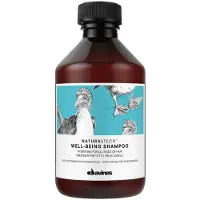 Davines Well-being 250ml Återfuktande Schampo