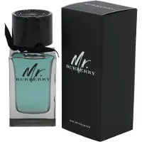Burberry Mr. Eau de Toilette 100 ml