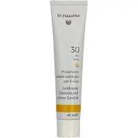 Dr. Hauschka Tinted Spf30 40ml Ansikts Solkräm