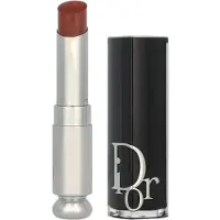 Dior Addict Nº 418 Läppstift