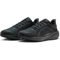 Nike Air Zoom Pegasus 41 GORE-TEX Svart Antracit Herr Sneakers FQ1356-001 44