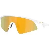 Oakley Resistor Sweep Solglasögon