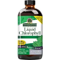 Natures Answer , Växtklorofyll i lösning, 100 mg, 16 fl oz (480 ml)