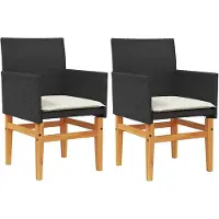 vidaXL Set med 2 Utomhus Stolar med Kuddar, Stolar med Armstöd, Terrassfåtöljer, Modern, Svart Resin 368714