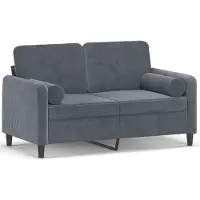 vidaXL 2-sitssoffa med prydnadskuddar mörkgrå 120 cm sammet