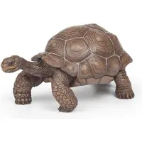 Papo Elefantskölpadda - H: 5 cm - - One Size - Leksaksdjur