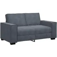 vidaXL 2-sitssoffa mörkgrå 160x78x84 cm sammet
