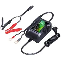 Skyrich 12v 2ah Laddare