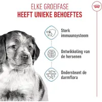 Royal Canin Medium Puppy torrfoder för valpar till medelstora hundar 1 kg