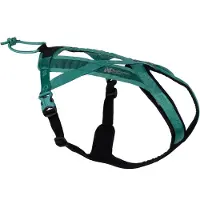Non-Stop Dogwear Rush harness Teal