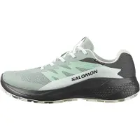 Salomon Alphaglide GTX, Löparskor, Dam, Grön/Grå