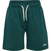 Hummel Sweatshorts - hmlJR Chevron - June Bug - - 14 år (164) - Shorts