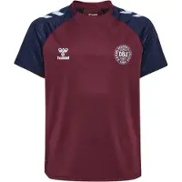 Hummel Danmark Tränings T-Shirt 26 Pro - Bordeaux/Navy Barn - , storlek 140 cm