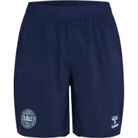 Hummel Danmark Träningsshorts 26 Pro Woven - Navy - , storlek XX-Large