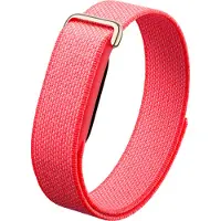 Google Fitbit Air Berry