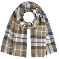 Barts Spenare Scarf Mångfärgad Grön