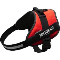 Julius-K9 Idc Hundsele