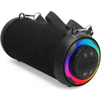 Denver BTG-213 Bluetooth-högtalare Svart