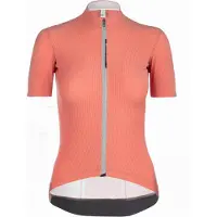Q36.5 L1 Pinstripe X Korta ärmar Cykeltröja