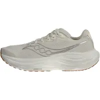Saucony Springsko 'RIDE 19' kitt / silver