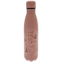 Ginza.se Disney Princess: Thirsty Work (Metal Drinks Bottle)