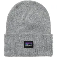 Patagonia Everyday Beanie Salt Grey