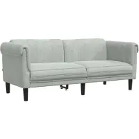vidaXL Soffa 2-sits ljusgrå sammet