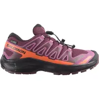 Salomon Xa Pro Wp Trailskor