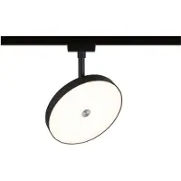 Paulmann Hildor LED-strålkastare URail 15 W LED Svart (matt)