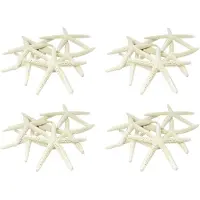 Torribaly 48ST Vit Finger Starfish 5-10Cm Dekorativ Femfinger Sjöstjärna