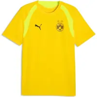 Puma Dortmund Tränings T-Shirt - Gul/Gul - , storlek Large