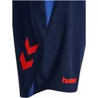 Hummel Blaze 26 Pro Training Shorts