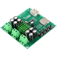 Typecat XH-M422 -Förstärkarkortsmodul TPA3116D2 Integrerad F-Card-Uppspelningsförstärkarkort Dubbel 50W-Modul