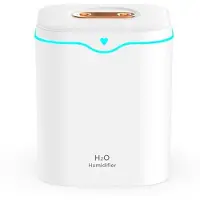 Typecat 2000ml Stor Kapacitet Dubbel Spray Port Luftfuktare USB Tyst Aromaterapi Diffuser Cool Mist Maker för Hemmet Vit