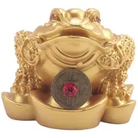 Typecat Chinese Feng Shui Money Lucky Fortune Wealth Frog Toad Coin Home Decoration Home Office Decoration Lucky Gifts Gold