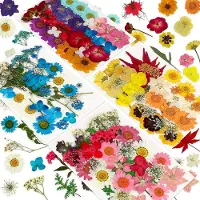 Semoic 144 St Naturliga Torkade Pressade Blommor för Harts, Torrblommor för Bulk Naturliga öRter för Ljus, Epoxiharts, GöR-Det-SjäLv Konsthantverk