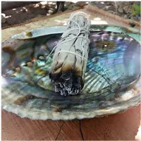 Semoic Rökelse White Sage Bundle Smudge Sticks Hemrening Andlig RökelsesticksMeditation Portable Cleansing