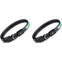 Typecat 2X LED-Ljus Hundhalsband Uppladdningsbart Vattentätt Säkerhetshalsband för Hundar Under Nattpromenader Husdjur Blinkande Utrustning