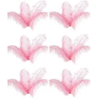Typecat 30 St Naturliga Strutsfjädrar Bröllopsfestdekoration Rosa 20-25cm