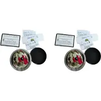 Typecat 2X Adoptera en Weed Nugget Plysch i en Burk Handgjorda Plyschleksaker, Little Weed Nugget Plysch med Kort
