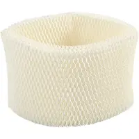 Torribaly Filter för Boneco E2441A HEPA-FilterkäRna ErsäTtning för Boneco Air-O-Swiss Aos 7018 E2441 Luftfuktardelar